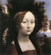 LEONARDO da Vinci Portrait of Ginevra de Benci oil painting